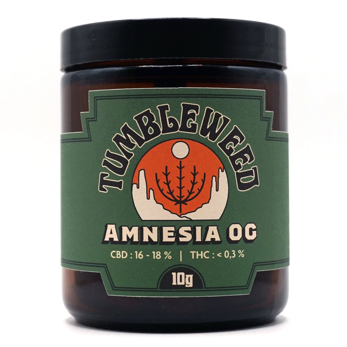 Amnesia OG