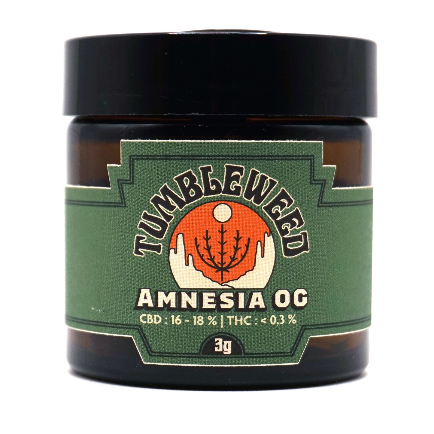 Amnesia OG