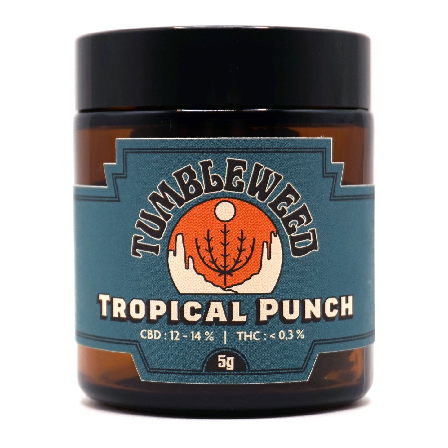 Tropical Punch