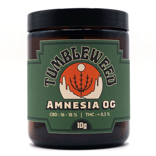Amnesia OG