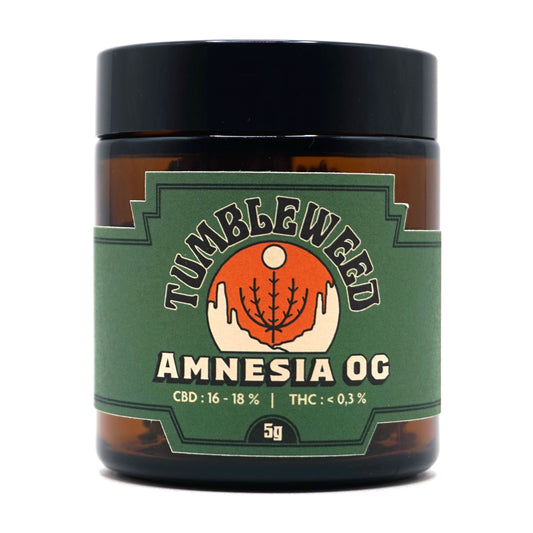 Amnesia OG