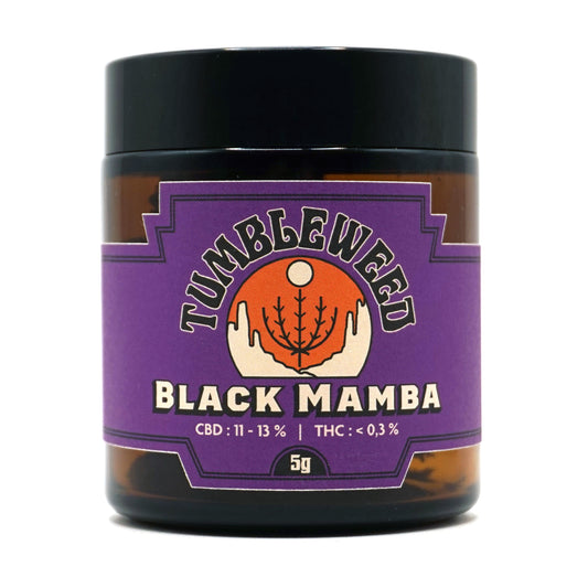 Black Mamba