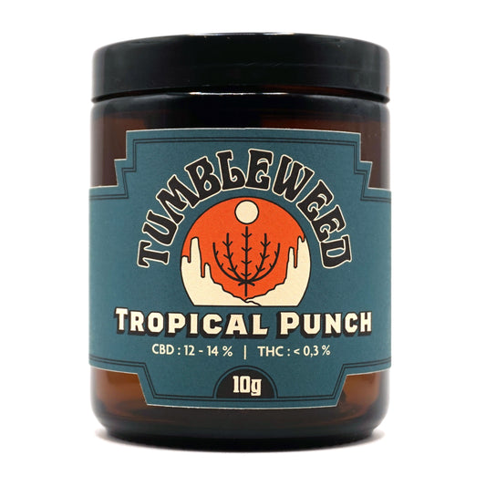 Tropical Punch